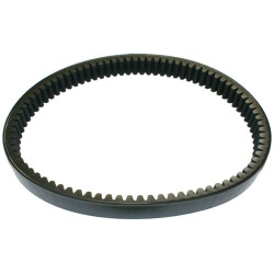 F0191000734 VARIATOR DRIVE BELT CASALINI M10 M110 M12 M14