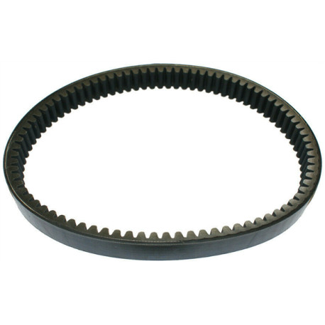 F0191000734 VARIATOR DRIVREMCASALINI M10 M110 M12 M14